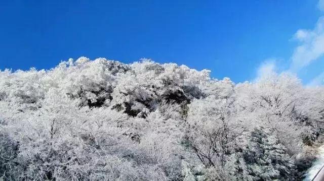 《繁花》,广告植入“天花板”!